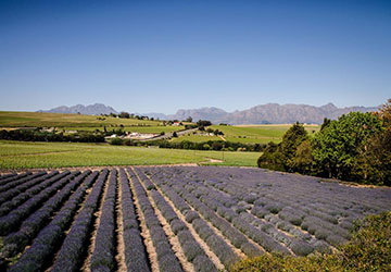 Vastu for Agricultural Land in Southern Hemisphere